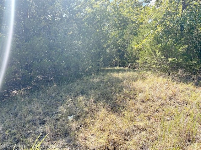 TBD Cottonwood Dr, Eufaula, OK 74425 - photo 3