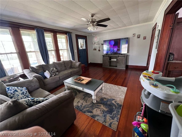 living room with ceiling fan, crown molding, and dark hardwood / wood-style floors