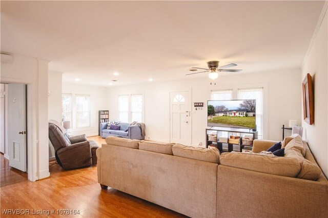 living room with ceiling fan and light wood-type flooring