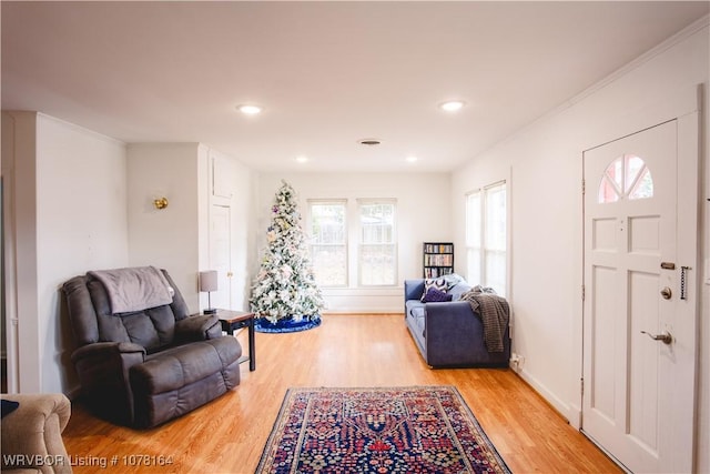 living room featuring light hardwood / wood-style floors