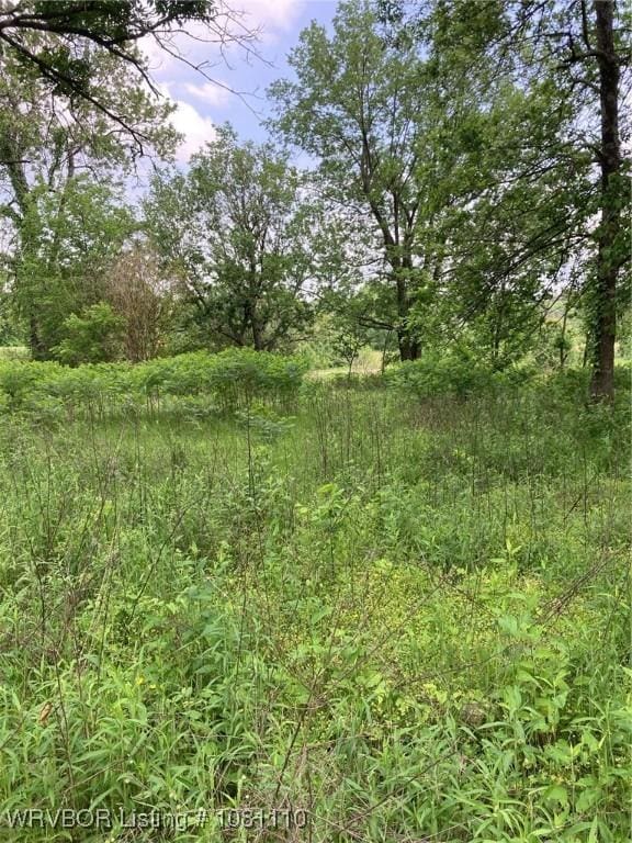 307 S Pine St, Hartford, AR 72938
