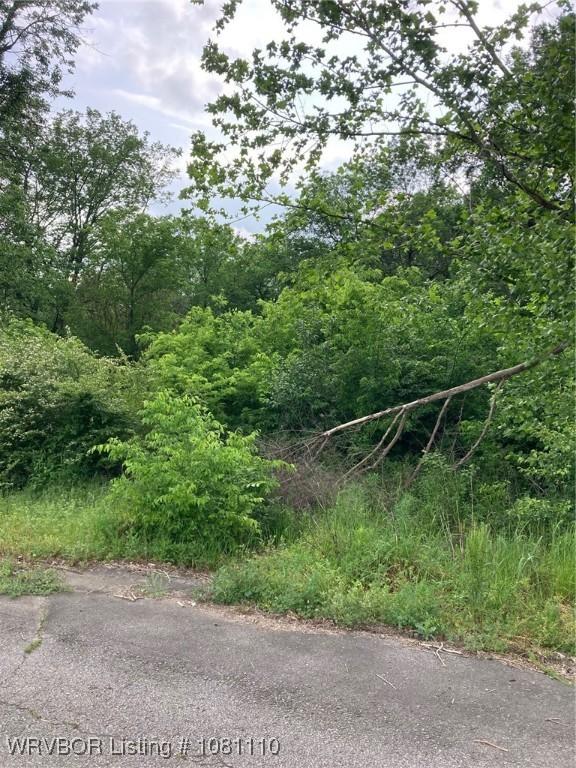 307 S Pine St, Hartford, AR 72938