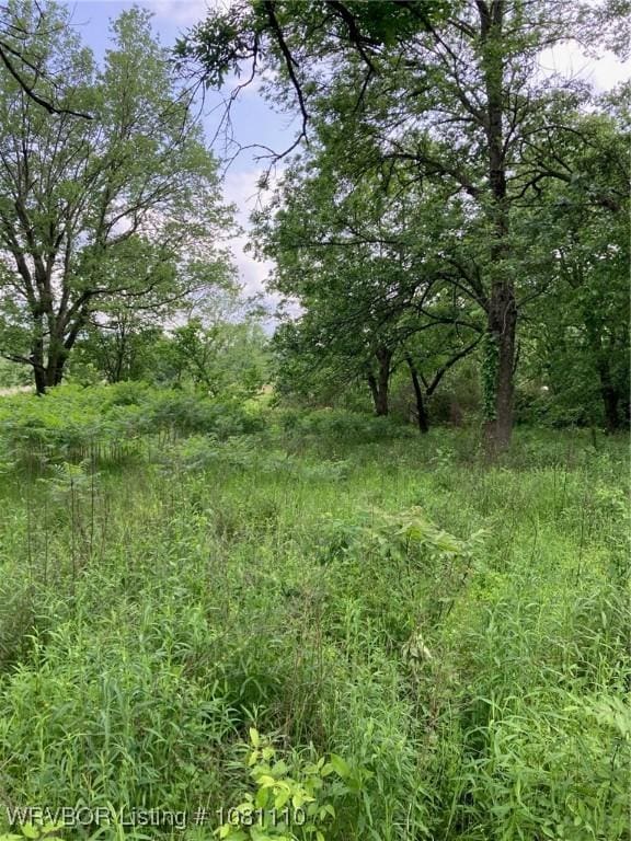 307 S Pine St, Hartford, AR 72938
