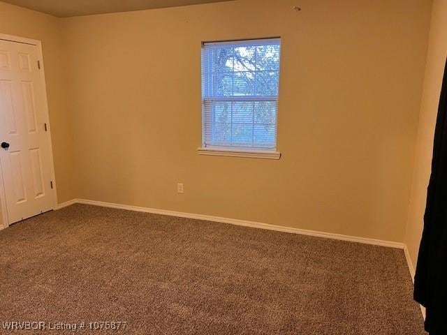 spare room featuring carpet flooring