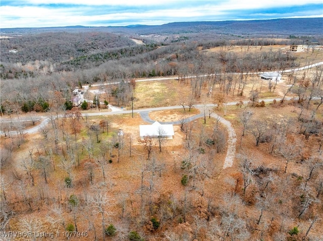 drone / aerial view featuring a mountain view and a rural view