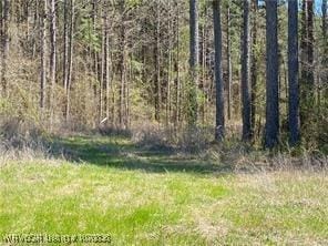 6572STHWY23 N State Highway 23, Booneville AR, 72927 land for sale