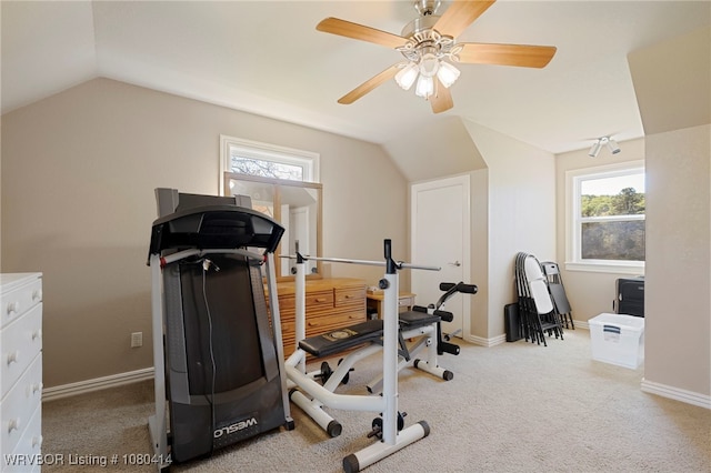 7441 Valley Creek Rd, Cecil, AR 72930 - exercise room with lofted ceiling, a ceiling fan, and a healthy amount of sunlight