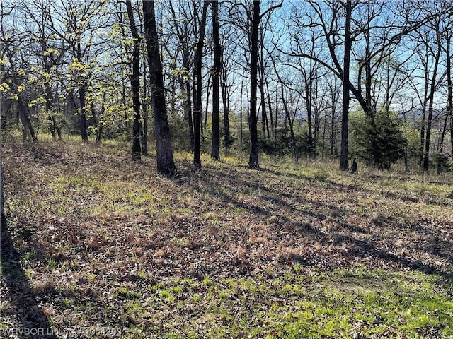 Listing photo 2 for TBD Pine Cliff Dr, Van Buren AR 72956