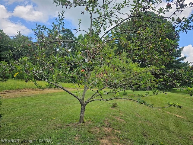 27 Stevenson Ln, Conway, AR 72032 - photo 34