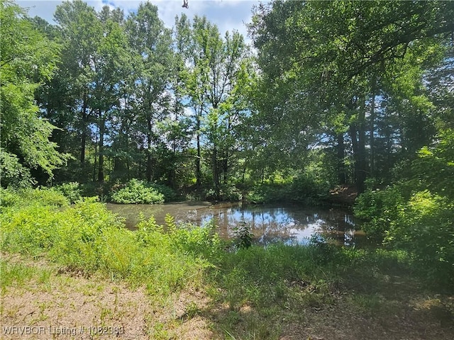 27 Stevenson Ln, Conway, AR 72032 - photo 44