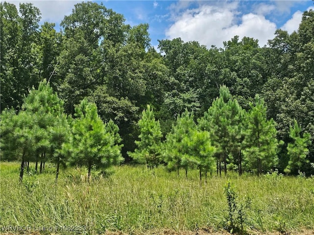 27 Stevenson Ln, Conway, AR 72032 - photo 33