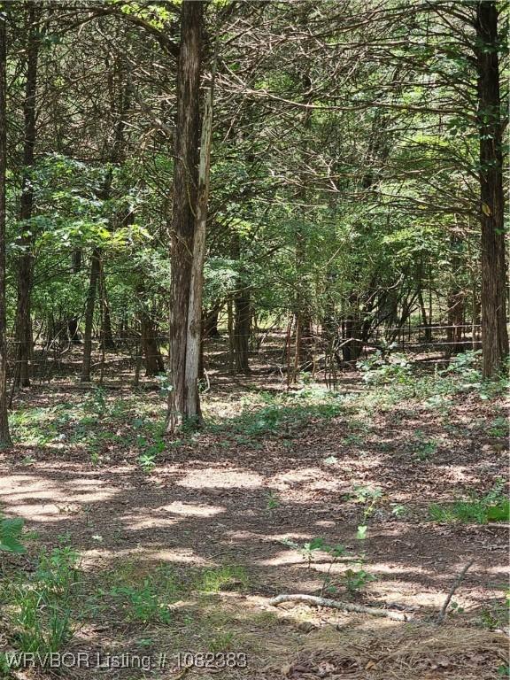 27 Stevenson Ln, Conway, AR 72032 - photo 40
