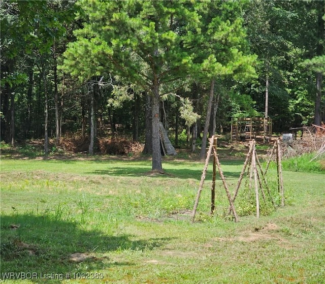 27 Stevenson Ln, Conway, AR 72032 - photo 43