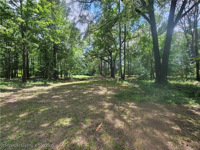 27 Stevenson Ln, Conway, AR 72032 - photo 45