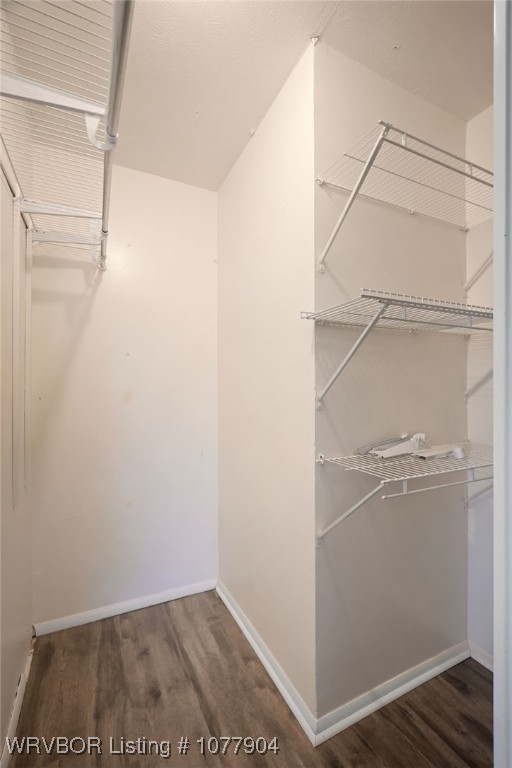 spacious closet with dark hardwood / wood-style floors