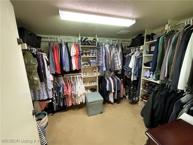 3414 Bugscuffle Rd, Lavaca, AR 72941 - walk in closet featuring carpet