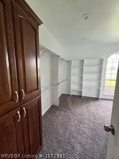 spacious closet featuring dark colored carpet