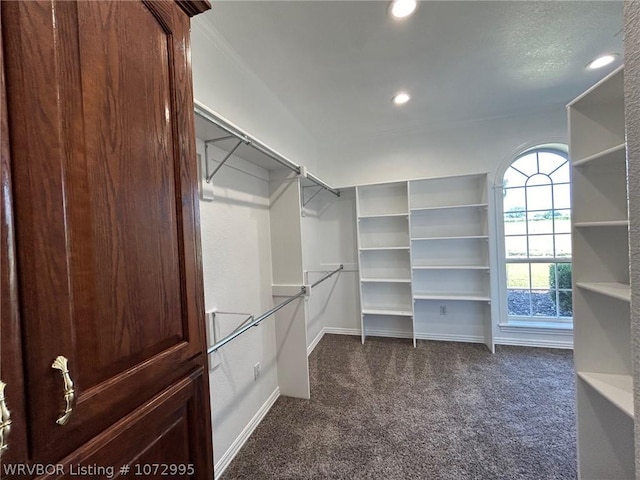 walk in closet with dark carpet