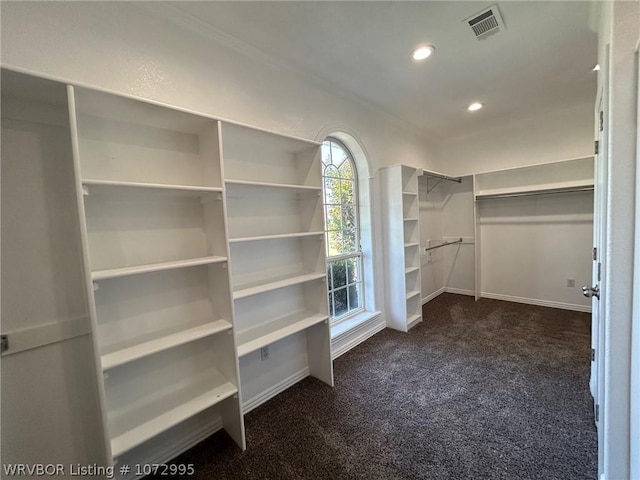 spacious closet with dark colored carpet