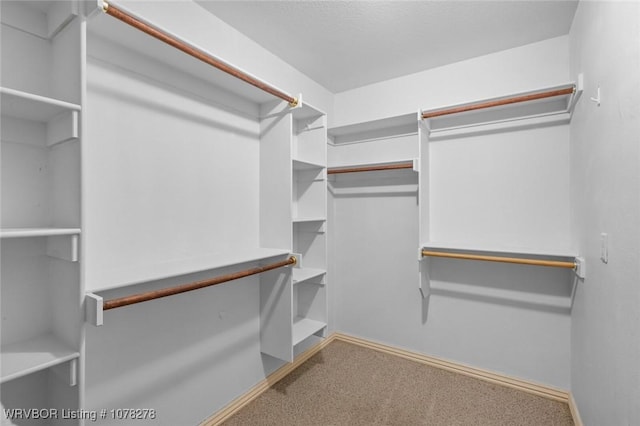 spacious closet with carpet