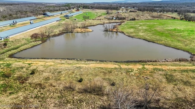 34590 Latam Ridge Rd, Shady Point, OK 74956 - bird's eye view of a large body of water