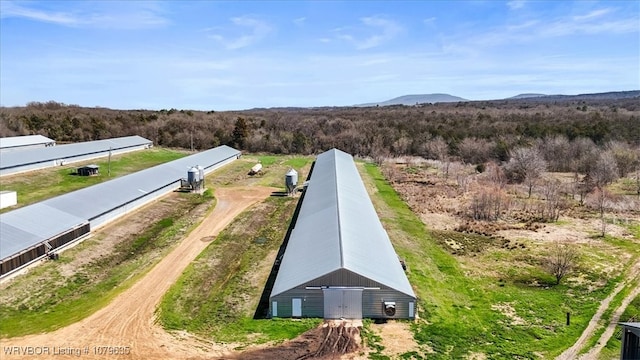 34590 Latam Ridge Rd, Shady Point, OK 74956 - drone / aerial view