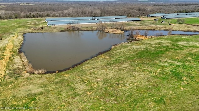 34590 Latam Ridge Rd, Shady Point, OK 74956 - water view with a forest
