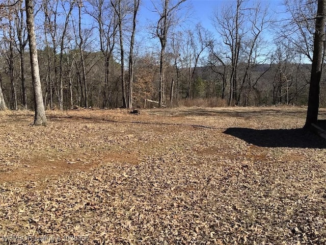 view of local wilderness