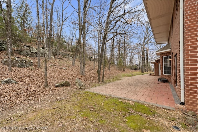 view of yard with a patio