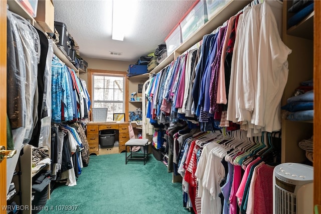 spacious closet with visible vents and carpet flooring