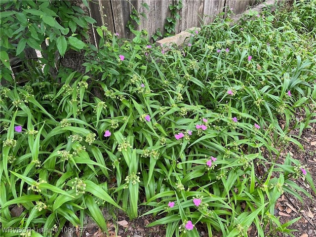 details featuring fence