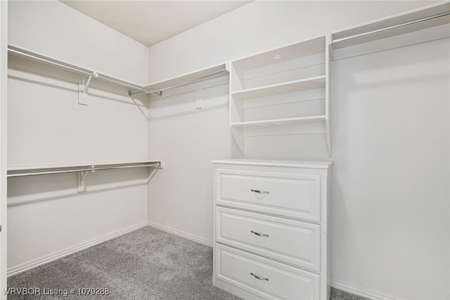 spacious closet with carpet flooring