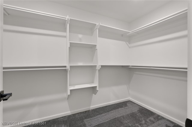 9009 Carson Way, Fort Smith, AR 72908 - spacious closet featuring dark carpet