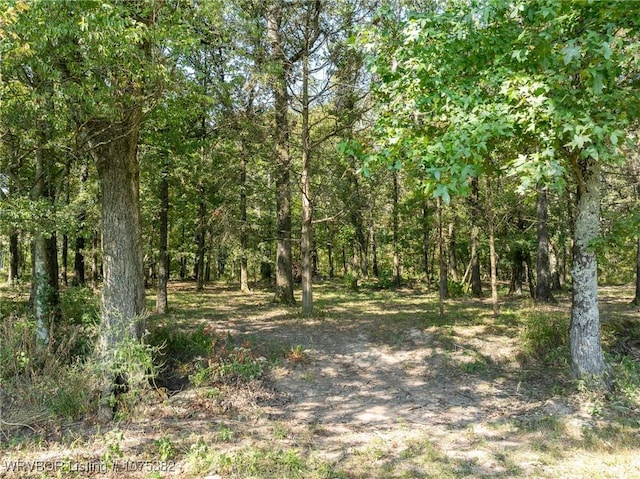 view of local wilderness featuring a wooded view