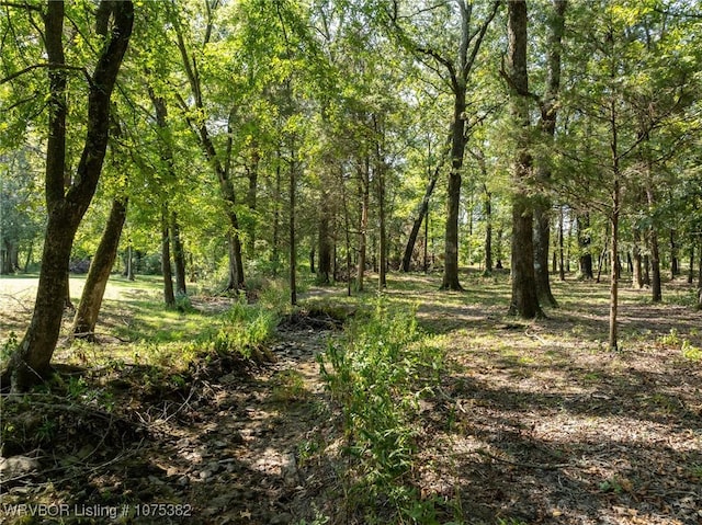 view of landscape featuring a wooded view