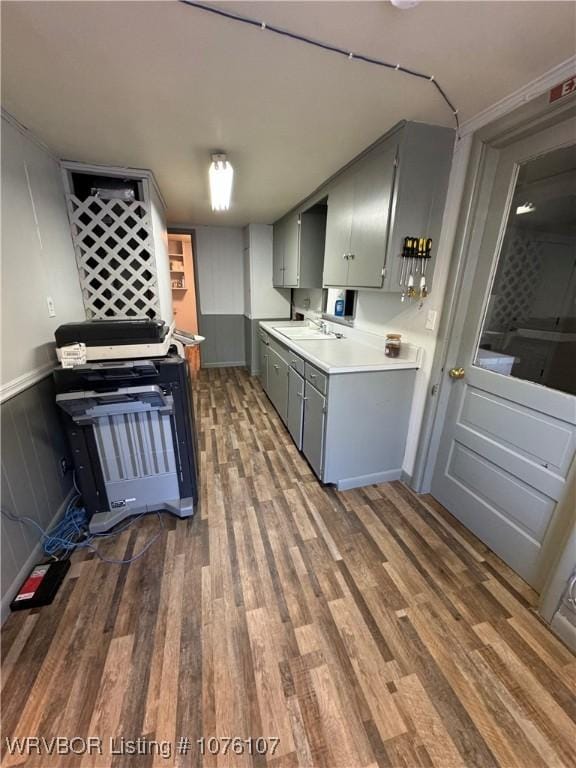 kitchen featuring sink and dark wood-type flooring