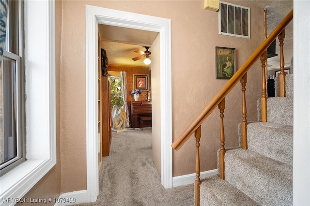 stairway with a ceiling fan, visible vents, baseboards, carpet flooring, and a textured wall