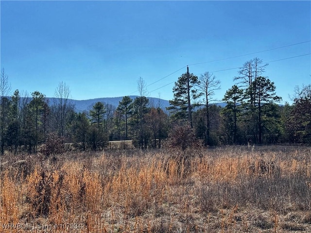 view of mountain feature with a wooded view