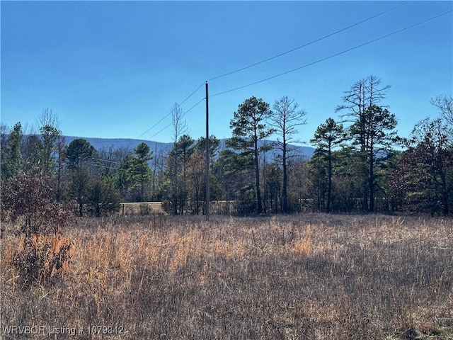 view of local wilderness