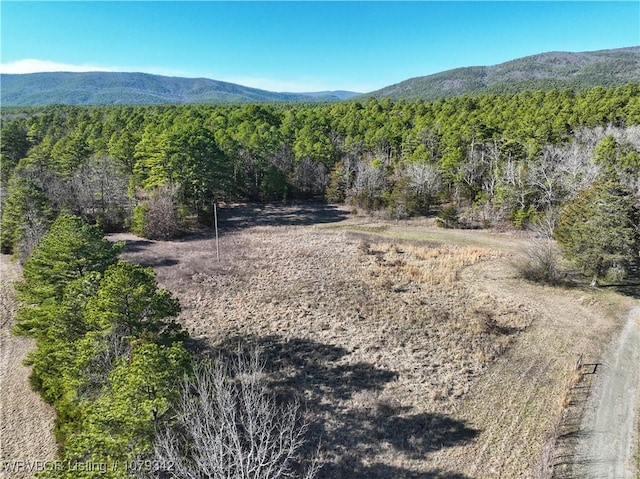 view of mountain feature featuring a forest view