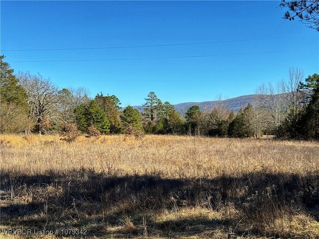 view of mountain feature