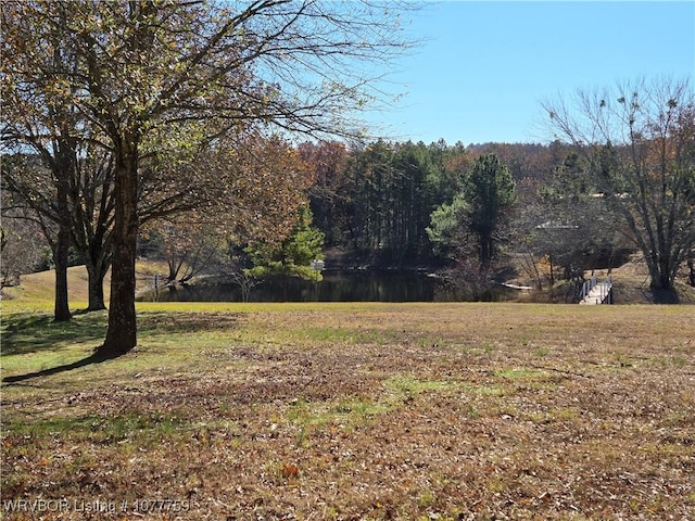 view of yard featuring a water view