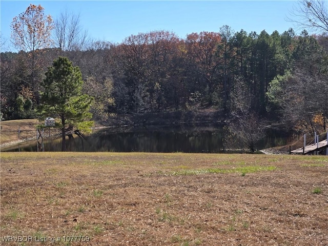 view of yard featuring a water view