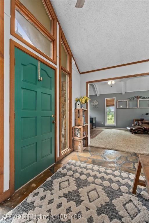2650 Spielerville Rd, Paris, AR 72855 - foyer entrance with vaulted ceiling and a textured ceiling
