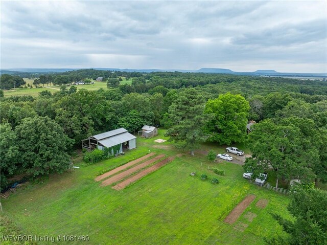 2650 Spielerville Rd, Paris, AR 72855 - drone / aerial view