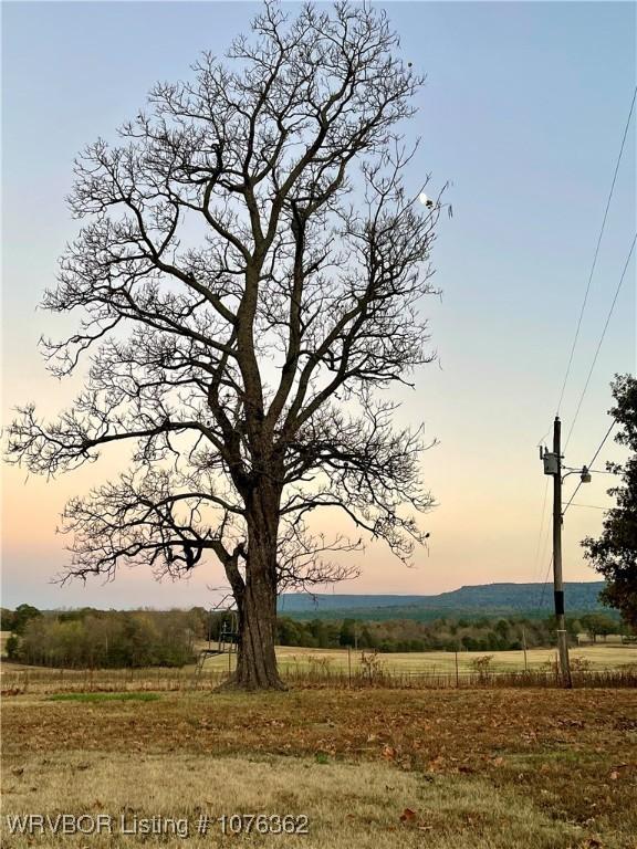 nature at dusk with a rural view