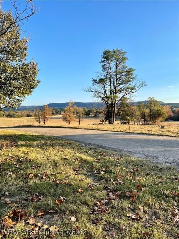 view of road with a rural view