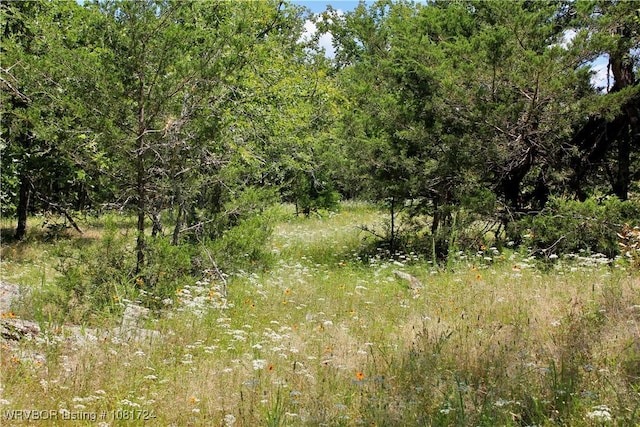 TBD Cloudy Rd, Rattan, OK 74562