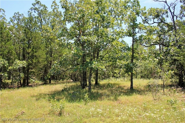 TBD Cloudy Rd, Rattan, OK 74562