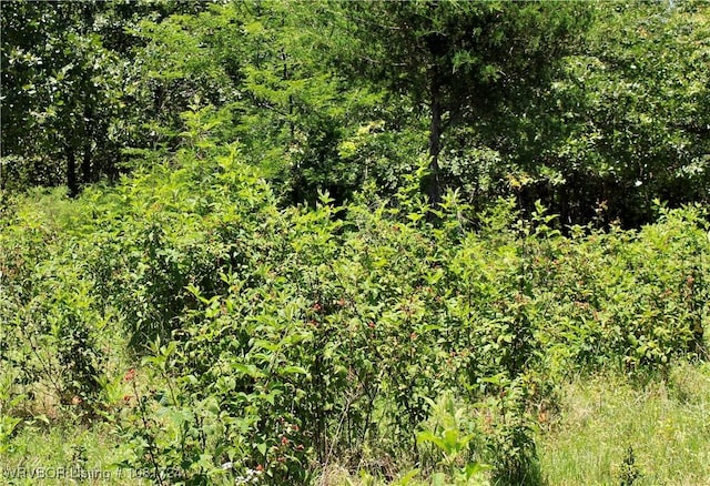TBD Cloudy Rd, Rattan, OK 74562